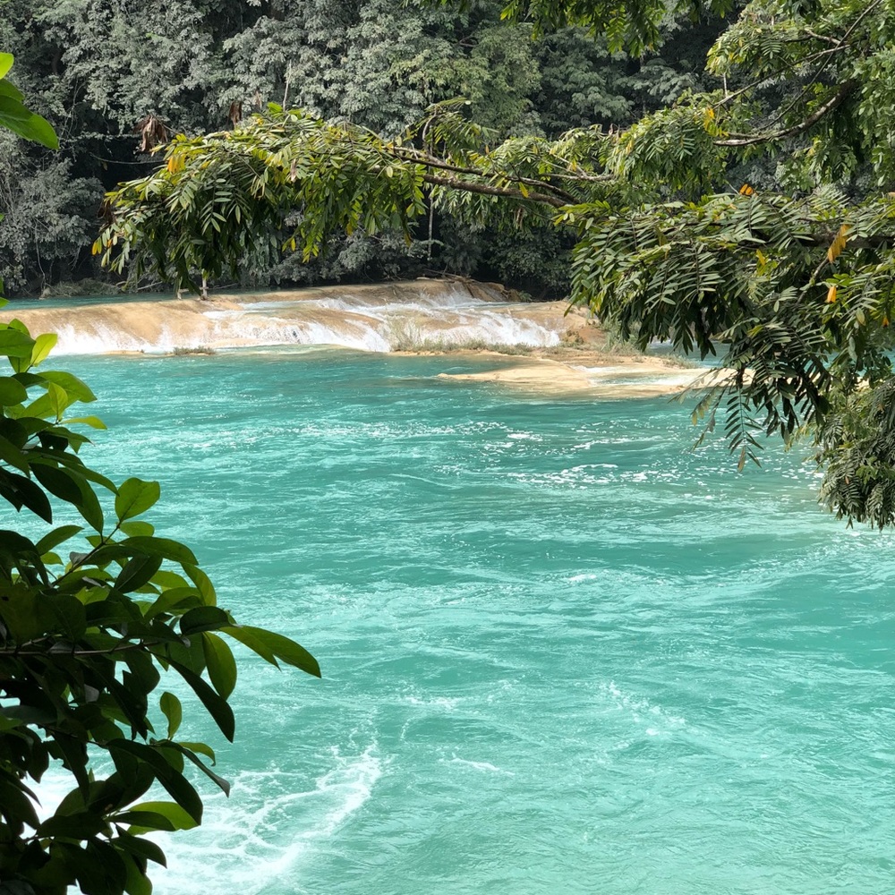 Meet your Posher, Maritza